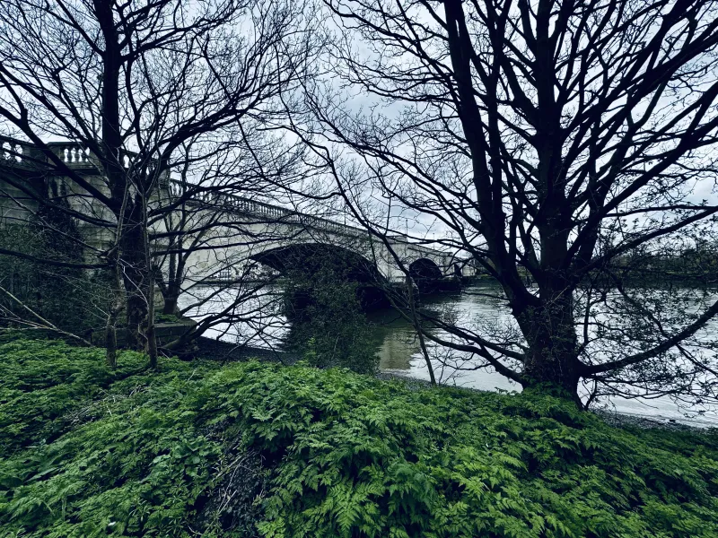 Chiswick Bridge